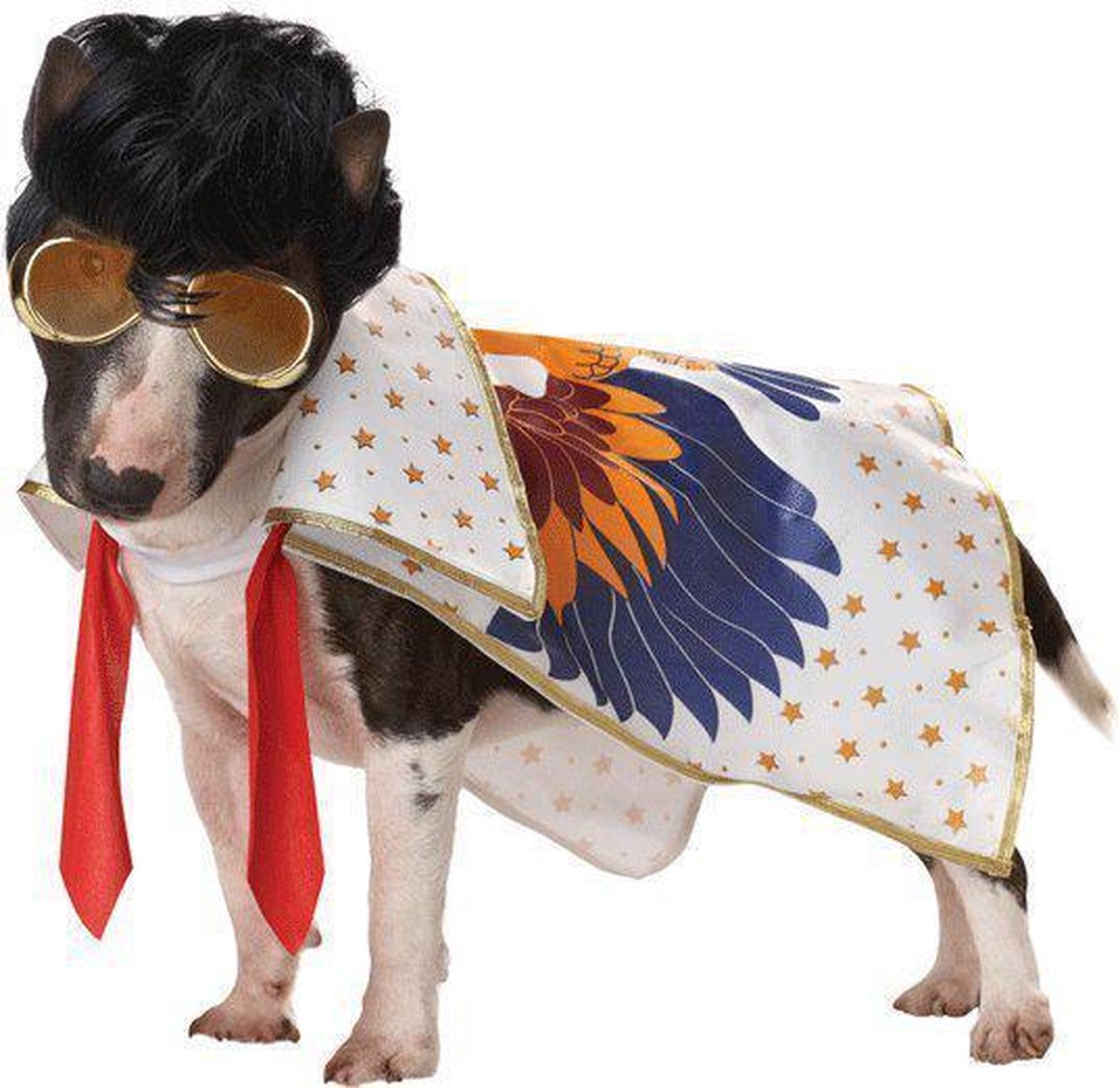 Sta in plaats daarvan op sirene snijder Honden kostuum Elvis | bol.com