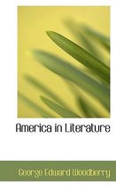 America in Literature