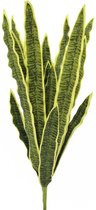 EUROPALMS Sansevieria (EVA), artificial, green-yellow, 60cm