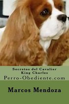 Secretos del Cavalier King Charles