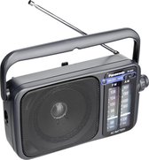 Panasonic RF-2400 EG-K - Zwart