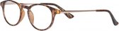 Icon Eyewear ACD003 Boston Leesbril +1.00 - Demi montuur - Goudkleurige poten