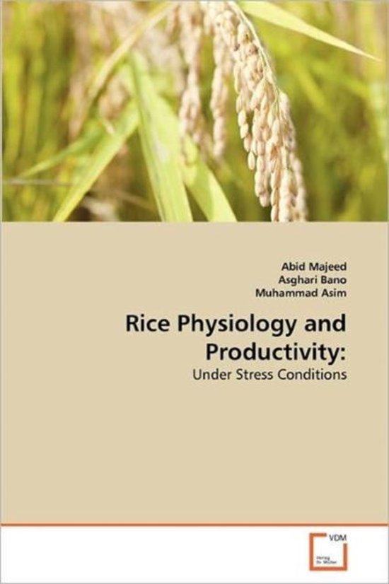 Rice Physiology and Productivity | 9783639339154 | Abid Majeed | Boeken ...