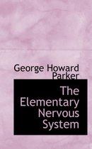 The Elementary Nervous System