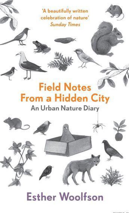 Field Notes from a Hidden City