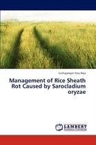 Management of Rice Sheath Rot Caused by Sarocladium oryzae