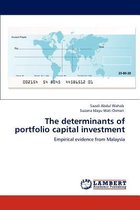 The determinants of portfolio capital investment
