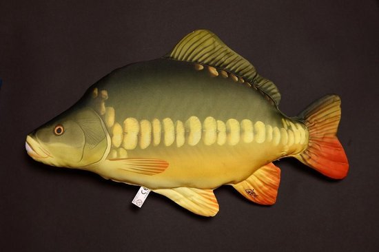 Kussen vis - Karper - Meerkleurig - Vismodel kussen - Groot formaat - Sierkussen - 60 cm