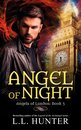 Omslag Angel of Night