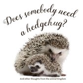 Does Somebody Need a Hedgehug?