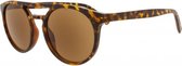 Icon Eyewear RBD316 +3.00 Magnum Zonneleesbril - Tortoise - UV400