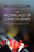The Archipelago of Consciousness