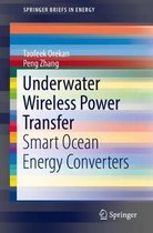 Underwater Wireless Power Transfer