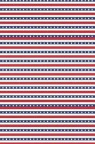 Patriotic Pattern - United States Of America 108