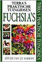 Fuchsia'S