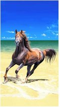 Bol.com The Beachtowel - Water Horse - Strandlaken - 100x180 cm - Multi kleur aanbieding Bol.com The Beachtowel - Water Horse - Strandlaken - 100x180 cm - Multi kleur aanbieding