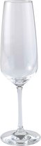 Vivo Voice Basic Champagneglas 28 cl - 4 stuks