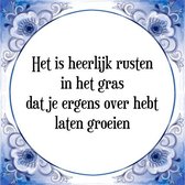 Tegeltje met Spreuk (Tegeltjeswijsheid): Het is heerlijk rusten in het gras dat je ergens over hebt laten groeien + Kado verpakking & Plakhanger