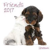 Friends 2017