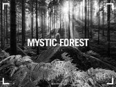 Mystic Forest Kalender 2019
