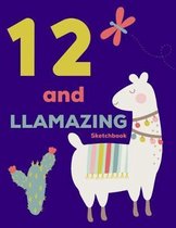 12 and Llamazing Sketchbook