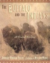The Buffalo and the Indians
