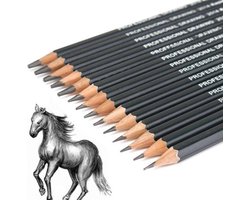 Schetspotloden & Tekenpotloden Set - Portret Tekening - Landschap Schetsen - Grafiet Potloden - 14 Stuks