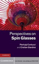 Perspectives on Spin Glasses