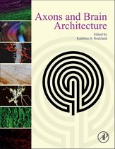 Axons & Brain Architecture