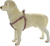 Beeztees Envy borsttuig hond Phantom - Rood 46-75 cm