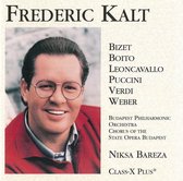 Bizet, Boito, Leoncavallo, et al: Arias / Frederic Kalt, etc
