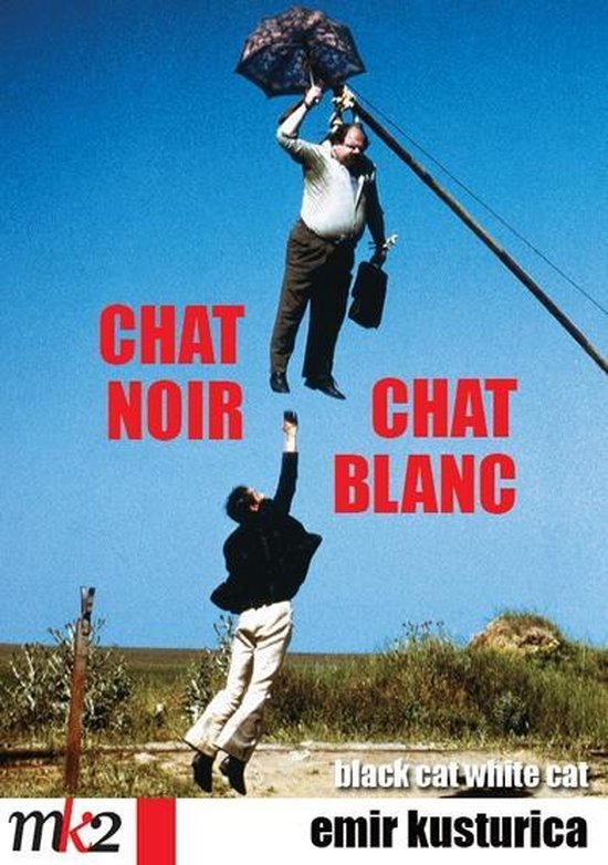 Cover van de film 'Chat Noir Chat Blanc'