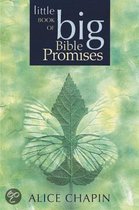 Little Book of Big Bible Promises