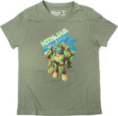 Turtles - Green. Ninjas In Training - 140/146