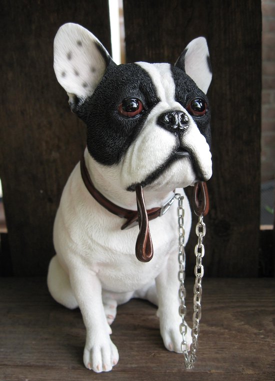 hondenbeeldje Franse Bulldog wit-zwart met riem