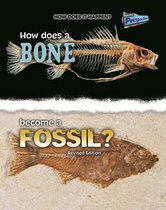How Does a Bone Become a Fossil? (How Does it Happen)