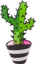 Cactus 1B-m
