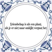 Tegeltje met Spreuk (Tegeltjeswijsheid): Vriendschap is als een plant, als je er niet naar omkijkt vergaat het + Kado verpakking & Plakhanger