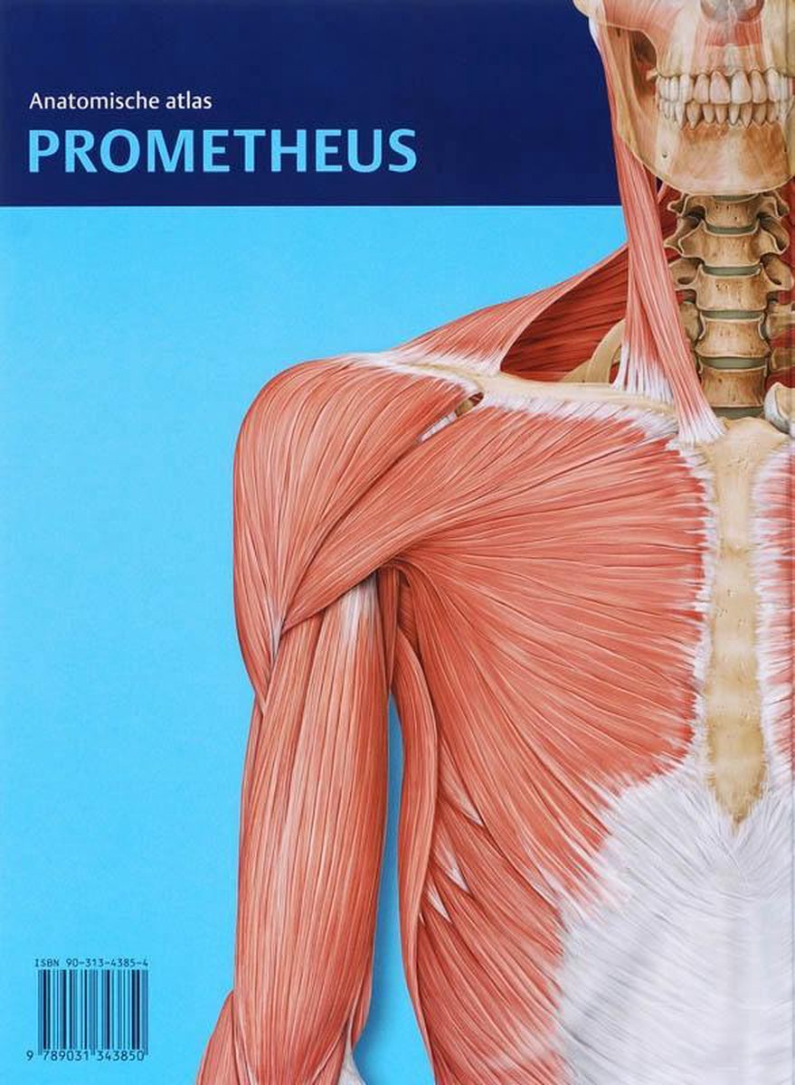 Prometheus anatomische atlas - Algemene anatomie en