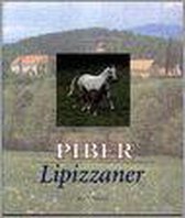 PIBER-Lipizzaner
