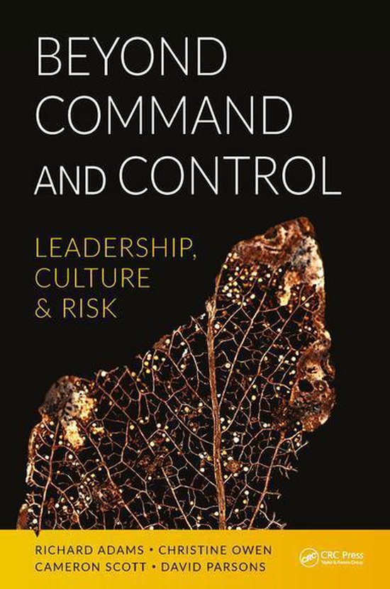Beyond Command and Control - cover