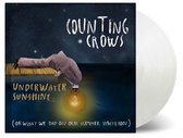 Underwater Sunshine (Or What We Did On Our Summer) (Coloured Vinyl)