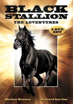 Black Stallion - The Adventures