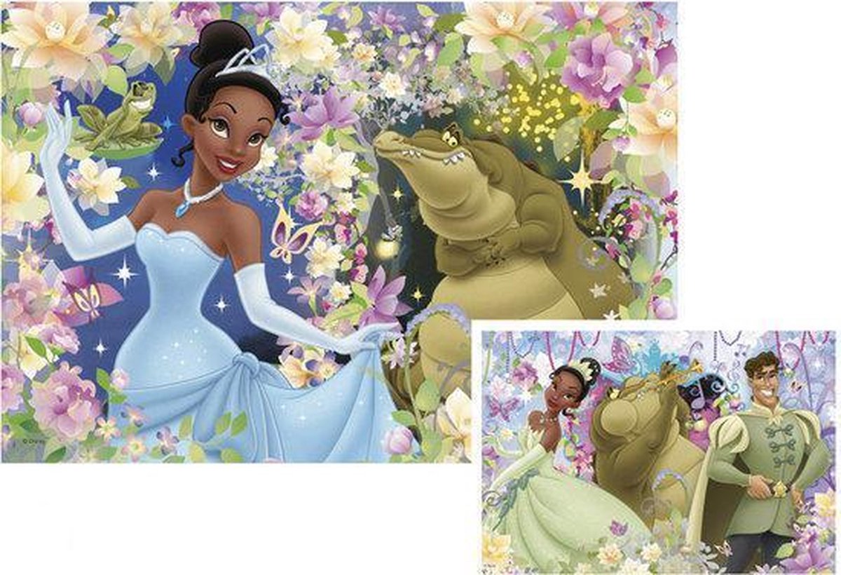 Ravensburger 2-in-1 Puzzel: De Prinses en de Kikker | bol.com