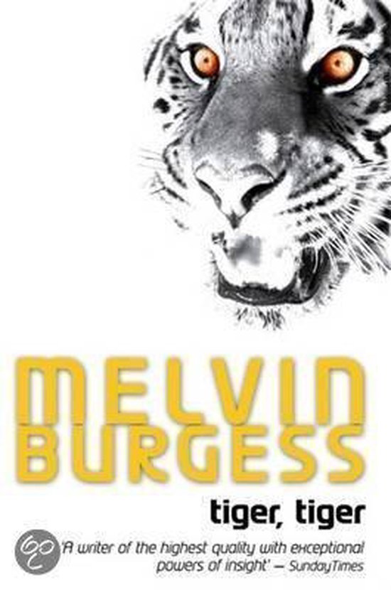 melvin-burgess-tiger-tiger
