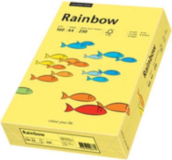 Rainbow gekleurd papier A4 160 gram 24 oranje 250 vel | bol.com