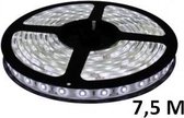 7,5 meter - koud wit - LED strip - 24 volt - 3528 SMD - waterdicht - dimbaar
