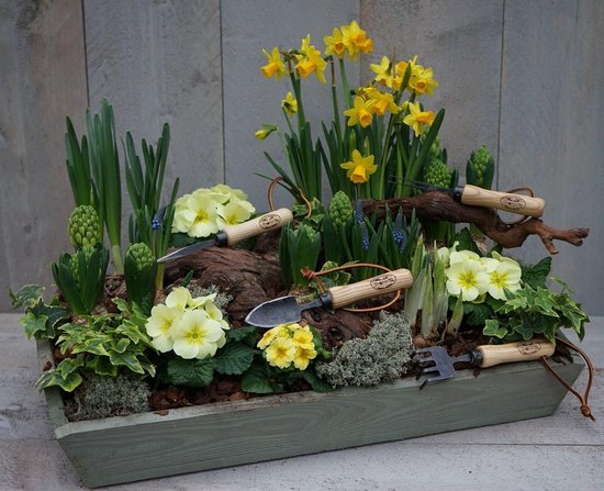 De Wit Bonsai vorkje 3 tands van De Wit — afbeelding 2