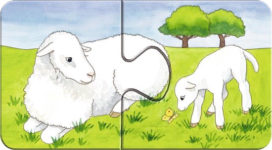 Een witte schaap met een lammetje en een vlinder in een groene wei.