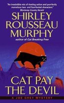 Joe Grey Mystery Series 12 - Cat Pay the Devil